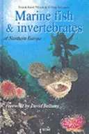 Meeresfische und wirbellose Tiere Nordeuropas - Marine Fish & Invertebrates of Northern Europe