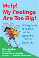 Hilfe! Meine Gefühle sind zu groß! Sich selbst und die Welt verstehen nach einem schwierigen Start ins Leben - Help! My Feelings Are Too Big!: Making Sense of Yourself and the World After a Difficult Start in Life