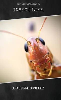 Das Leben der Insekten - Insect Life