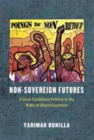 Nicht-souveräne Zukünfte: Die Politik der französischen Karibik im Zeichen der Entzauberung - Non-Sovereign Futures: French Caribbean Politics in the Wake of Disenchantment