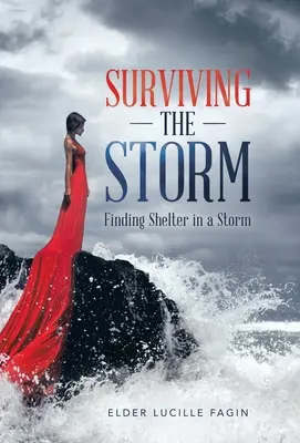 Den Sturm überleben: Schutz im Sturm finden - Surviving the Storm: Finding Shelter in a Storm