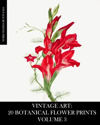 Vintage Art: 20 botanische Blumendrucke, Band 3: Ephemera zum Einrahmen, für Tagebücher, Mixed Media und Decoupage - Vintage Art: 20 Botanical Flower Prints Volume 3: Ephemera for Framing, Junk Journals, Mixed Media and Decoupage
