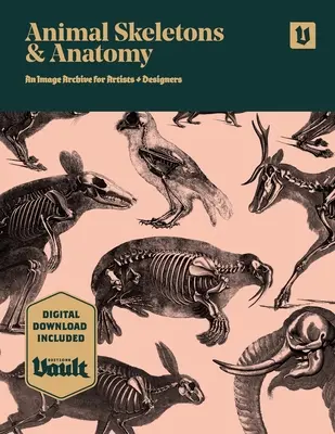 Tierskelette und Anatomie: Ein Bildarchiv für Künstler und Designer - Animal Skeletons and Anatomy: An Image Archive for Artists and Designers