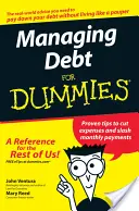 Schuldenmanagement für Dummies - Managing Debt for Dummies