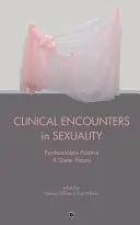 Klinische Begegnungen in der Sexualität: Psychoanalytische Praxis und Queer Theory - Clinical Encounters in Sexuality: Psychoanalytic Practice and Queer Theory