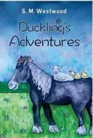 Die Abenteuer des Entleins - Duckling's Adventures