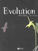 Entwicklung - Evolution