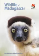 Die Tierwelt von Madagaskar - Wildlife of Madagascar