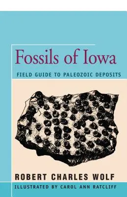 Fossilien von Iowa: Feldführer zu paläozoischen Ablagerungen - Fossils of Iowa: Field Guide to Paleozoic Deposits