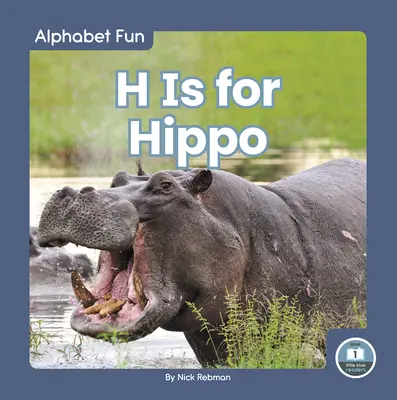 H ist für Nilpferd - H Is for Hippo