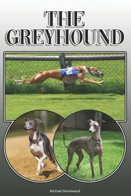 Der Windhund: Ein vollständiger und umfassender Leitfaden für Besitzer: Kaufen, Besitzen, Gesundheit, Pflege, Training, Gehorsam, Verstehen und - The Greyhound: A Complete and Comprehensive Owners Guide To: Buying, Owning, Health, Grooming, Training, Obedience, Understanding and