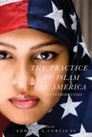 Die Praxis des Islam in Amerika: Eine Einführung - The Practice of Islam in America: An Introduction