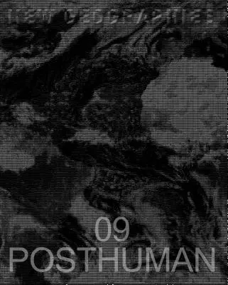 Neue Geographien 09: Posthuman - New Geographies 09: Posthuman