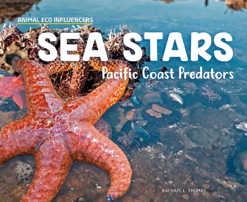 Seesterne: Raubtiere an der Pazifikküste - Sea Stars: Pacific Coast Predators