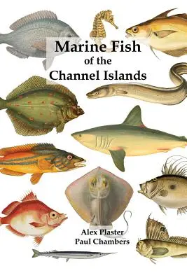 Meeresfische auf den Kanalinseln - Marine Fish of the Channel Islands