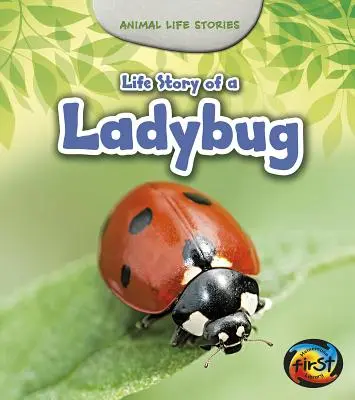 Die Lebensgeschichte eines Marienkäfers - Life Story of a Ladybug