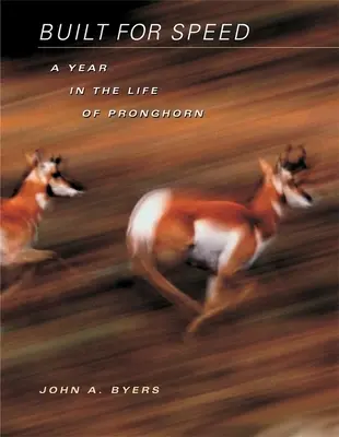 Gebaut für Geschwindigkeit: Ein Jahr im Leben von Pronghorn - Built for Speed: A Year in the Life of Pronghorn