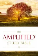 Amplified Studienbibel, Hardcover - Amplified Study Bible, Hardcover