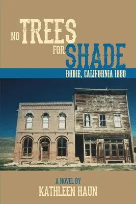 Keine Bäume als Schattenspender: Bodie, Kalifornien - No Trees for Shade: Bodie, California