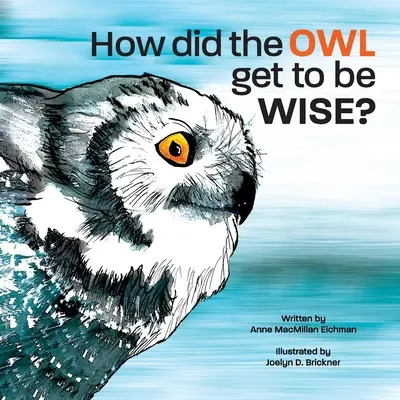 Wie wurde die Eule weise? - How Did the Owl Get to Be Wise