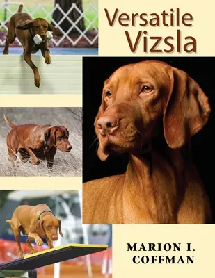 Vielseitiger Vizsla - Versatile Vizsla