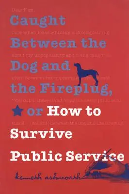 Gefangen zwischen dem Hund und dem Feuerteufel, oder wie man den öffentlichen Dienst überlebt - Caught Between the Dog and the Fireplug, or How to Survive Public Service