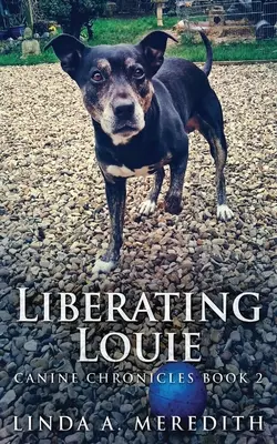 Befreiung von Louie: Der Weg nach Rutland - Liberating Louie: The Road To Rutland