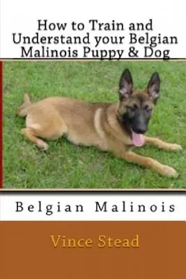 Wie Sie Ihren Belgischen Malinois-Welpen und -Hund ausbilden und verstehen können - How to Train and Understand Your Belgian Malinois Puppy & Dog