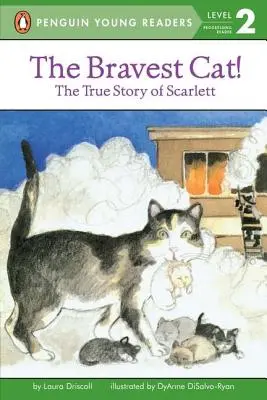 Die mutigste Katze! - The Bravest Cat!