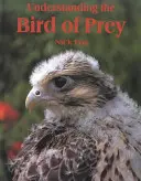 Den Raubvogel verstehen - Understanding the Bird of Prey