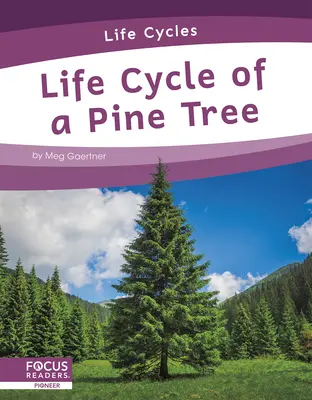 Lebenszyklus einer Kiefer - Life Cycle of a Pine Tree