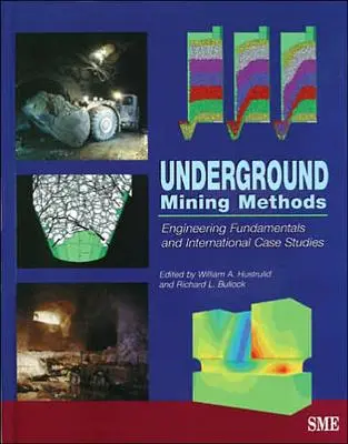 Untertägige Bergbauverfahren: Technische Grundlagen und internationale Fallstudien - Underground Mining Methods: Engineering Fundamentals and International Case Studies