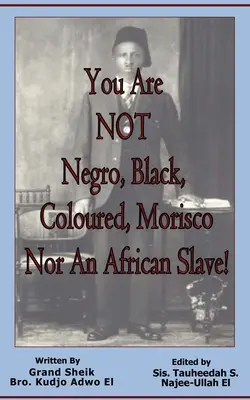 Du bist KEIN Neger, Schwarzer, Farbiger, Morisco oder afrikanischer Sklave! - You Are NOT Negro, Black, Coloured, Morisco Nor An African Slave!