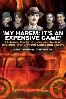 Mein Harem: Es ist ein teures Spiel - My Harem: It's an Expensive Game