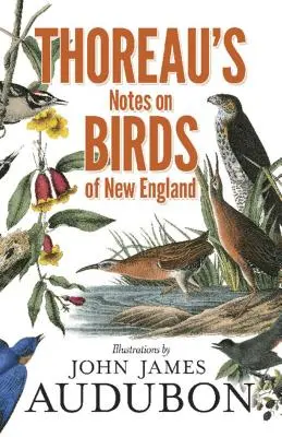 Thoreaus Notizen über Vögel in Neuengland - Thoreau's Notes on Birds of New England
