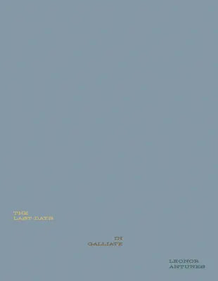 Leonor Antunes: Die letzten Tage in Gallien - Leonor Antunes: The Last Days in Galliate