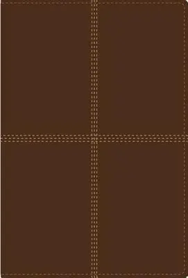 Zweisprachige Bibel-PR-NIV/Rvr 1960 - Bilingual Bible-PR-NIV/Rvr 1960