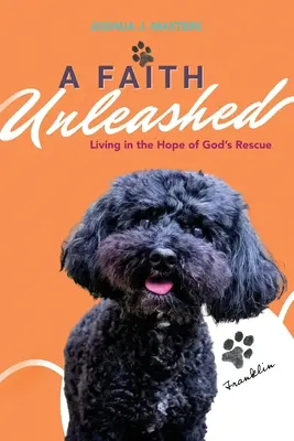 Ein entfesselter Glaube: Leben in der Hoffnung auf Gottes Rettung - A Faith Unleashed: Living in the Hope of God's Rescue