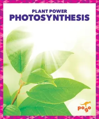 Photosynthese - Photosynthesis