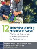 12 Gehirn/Geist-Lernprinzipien in Aktion: Unterricht für die Entwicklung des Denkens höherer Ordnung und der Exekutivfunktion - 12 Brain/Mind Learning Principles in Action: Teach for the Development of Higher-Order Thinking and Executive Function