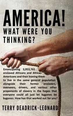 Amerika! Was hast du dir dabei gedacht? Die Emanzipation von 3.953.761 versklavten Afrikanern und Afroamerikanern und ihre anschließende Unterbringung in der gleichen allgemeinen Bevölkerung - America! What Were You Thinking?: Emancipating 3,953,761 enslaved Africans and African Americans and then leaving them to live in the same general pop