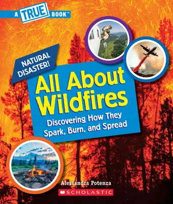 Alles über Waldbrände (Ein wahres Buch: Naturkatastrophen) - All about Wildfires (a True Book: Natural Disasters)