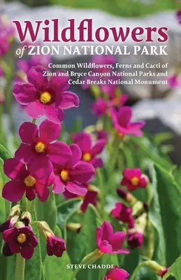 Wildblumen des Zion-Nationalparks - Wildflowers of Zion National Park