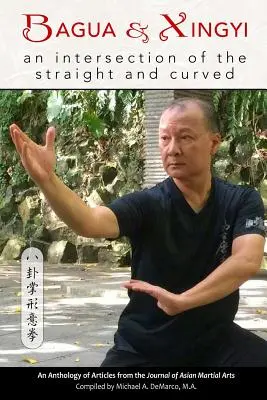 Bagua und Xingyi: Ein Schnittpunkt des Geraden und des Gebogenen - Bagua and Xingyi: An Intersection of the Straight and Curved