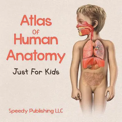 Atlas der menschlichen Anatomie nur für Kinder - Atlas Of Human Anatomy Just For Kids