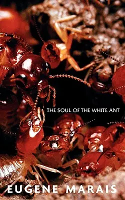 Die Seele der weißen Ameise - The Soul of the White Ant