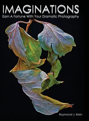 Imaginationen: Verdienen Sie ein Vermögen mit Ihrer dramatischen Fotografie - Imaginations: Earn A Fortune With Your Dramatic Photography