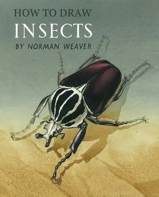 Wie man Insekten zeichnet (Faksimile-Nachdruck) - How to Draw Insects (Facsimile Reprint)