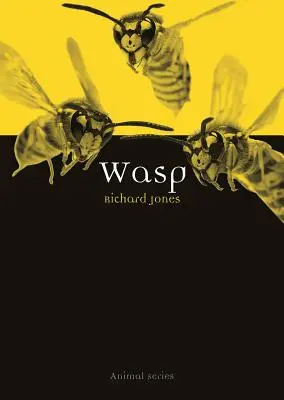 Wespe - Wasp