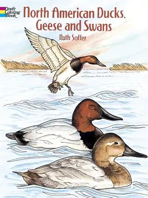 Nordamerikanische Enten, Gänse und Schwäne Malbuch - North American Ducks, Geese and Swans Coloring Book